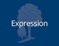 Expression